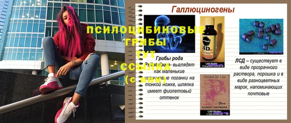 прущие крисы Алексин