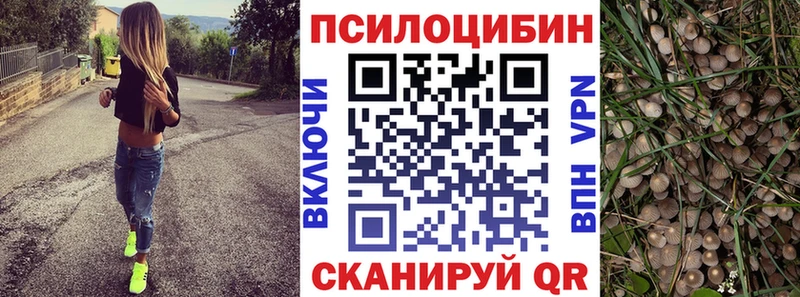 мориарти как зайти  Дыгулыбгей  Псилоцибиновые грибы Cubensis 